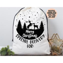 merry christmas santa sack svg, png, jpg, dxf, christmas gift bag svg, santa toy bag svg, special delivery svg, silhouet
