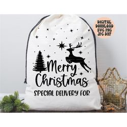 merry christmas santa sack svg, png, jpg, dxf design, christmas gift bag svg, santa toy bag svg, special delivery svg, s