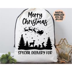 merry christmas santa sack svg, png, jpg, dxf, christmas gift bag svg, santa toy bag svg, special delivery svg, silhouet