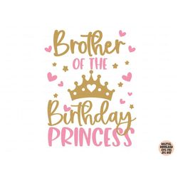brother of the birthday princess svg, birthday girl svg png jpg dxf, birthday svg, birthday princess svg, shirt svg, sil