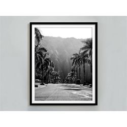 hawaii print, black and white, hawaii wall art, vintage poster, street photography, palm tree print, digital download, p