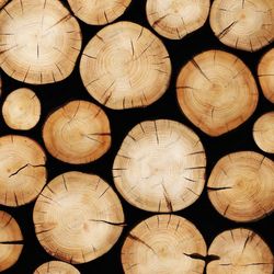 wood log ends seamless tileable repeating pattern