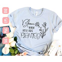 bloom where you are planted svg, happy svg, kindness matters svg, shine on svg, shirt, svg,png, eps, dxf, instant downlo