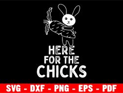 i'm just here for the chicks svg, funny easter svg, cute chick png, svg, easter clipart, kids easter shirt svg