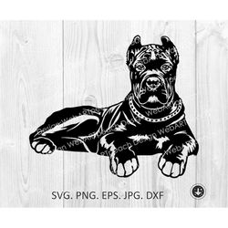 cane corso svg, dog svg, cane corso puppy cut files, cane corso lying files for cricut cane corso clipart,cane corso png