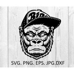 gorilla svg angry gorilla clipart monkey logo svg gorilla head silhouette files cricut laser cut cnc gorilla vector svg