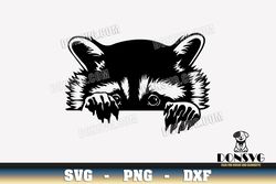 peeking raccoon head svg files for cricut silhouette cameo cute animal face png sublimation woodland