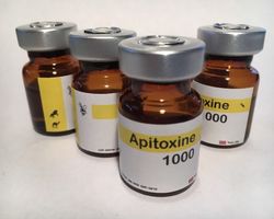 apitoxin, bee venom 1 g, 0.035 oz, collection 2023g. free shipping!