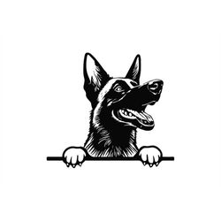 Peeking Belgian Malinois Svg, Peeking Belgian Malinois Clipart, Peeking Belgian Malinois Svg Files For Cricut