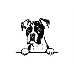 peeking boxer svg, peeking boxer clipart, peeking boxer dog svg files for cricut