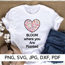 bloom where you are planted svg file, bloom svg, png, svg, make me bloom, happy vibes, funny quotes, digital download