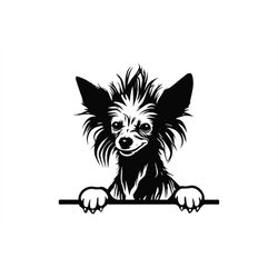 peeking chinese crested svg, peeking chinese crested clipart, peeking chinese crested svg files for cricut