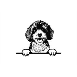 PEEKING CAVAPOO SVG, Peeking Cavapoo Clipart, Peeking Cavapoo Svg Files For Cricut