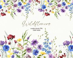 watercolor wildflowers meadow seamless border, floral banner, botanical frame, cornflower dandelion meadow herbs digital