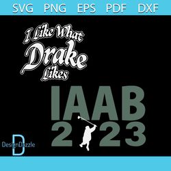 i like what drake likes svg its all a blur tour svg graphic file