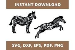 zebra svg, zebra dxf, zebra png, zebra template, zebra cut file, zebra cutout, zebra laser cut, zebra pdf, cricut, svg