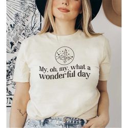 my, oh, my, what a wonderful day / splash mountain / disney inspired tee / disney inspired ride shirt