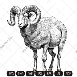 ram sheep svg, mountain sheep, farm animal graphics illustration,ram t-shirt ,sheep printable clip art ,vector digital d