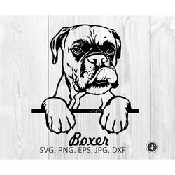 boxer svg,peeking boxer dog breed,boxer with tongues,cute funny boxer,head,clipart,vector,cricut,print file,download,png