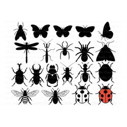 Ladybug in Grass, Sublimation, Lady Bug PNG, Insect Clipart