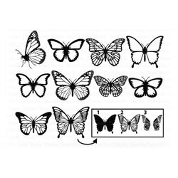 Butterfly SVG, Butterfly SVG Bundle SVG Files for Silhouette and Cricut.  Butterfly Template Svg, Butterfly Clipart, Sum
