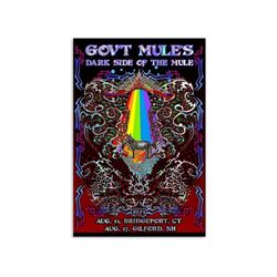 gov't mule 2023 aug 15 bridgeport aug 17 gilford nh dark side of the mule poster, no framed , gift