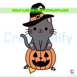 black cat pumpkin svg halloween cat witch cricut file