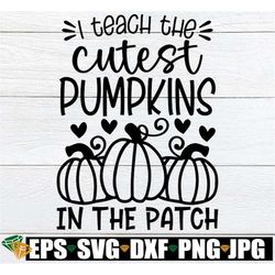 i teach the cutest pumpkins in the patch, fall teacher shirt svg, thanksgiving teacher shirt svg, kindergarten class tha