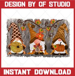 thanksgiving gnomes png,fall gnomes clipart, nordic gnomes clipart, autumn gnomes, cute clipart, fall clipart, gnome png
