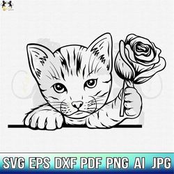 Cat Svg, Cute Cat Svg, Cat Clipart, Cat Cricut, Cat Cutfile, Peeking Cat Svg, Kitty Svg, Cat Printable, Cat Shirt Svg, C