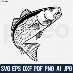 red drum fishing svg, fishing svg, red drum fish svg, red drum clipart, red drum vector, red drum cricut, red drum cut f