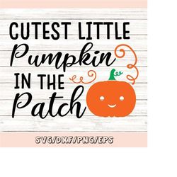 cutest pumpkin in the patch svg, thanksgiving svg, pumpkin svg, fall svg, autumn svg, cut file, silhouette cricut files,