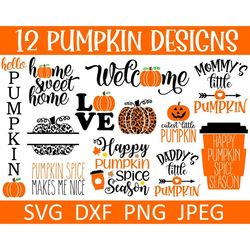 pumpkin spice svg bundle, cheetah pumpkin, porch sign, digital download, cut files, sublimation (12 individual svgdxfpng