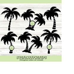 palm tree monogram svg, palm tree silhouette svg, beach monogram svg, monogram frame svg, silhouette cricut cut files, s