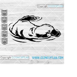 platypus svg | swamp animal clipart | safari life cutfile | zookeeper shirt png | zoo crew gift idea | australian stenci