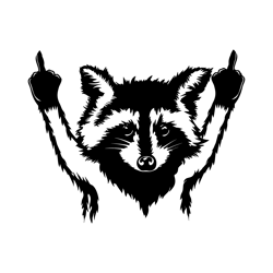 raccoon svg