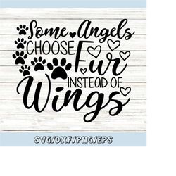 some angels choose fur instead of wings svg, pet memorial svg, pet loss svg, pet angel svg, silhouette cricut cut files,