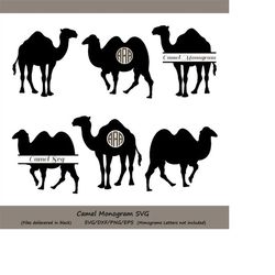 camel svg, camel monogram svg, camel clipart, animal svg, camel silhouette files, cricut files, nativity svg, vector, sv