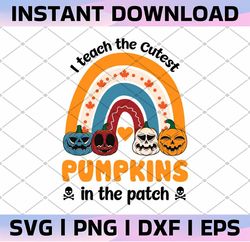 rainbow i teach the cutest pumpkins in the patch svg, png, halloween teacher svg, shirt design, fall autumn thanksgiving