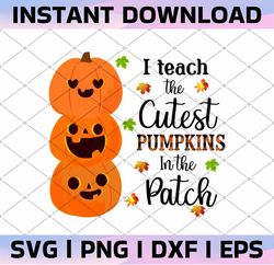 i teach the cutest pumpkins in the patch png, fall teacher png, fall season png, cute teacher, pumpkin autumn png, fall