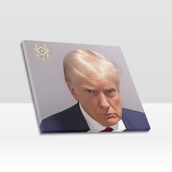 trump mugshot frame canvas print, wall art home decor