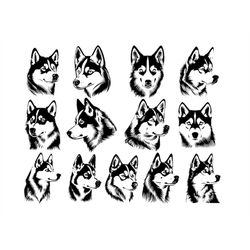 siberian husky svg, siberian husky clipart, siberian husky svg files for cricut