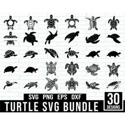 turtle svg bundle , sea turtle svg, sea turtle png, tortoise svg png, sea turtle clipart, sea turtle silhouette, sea tur
