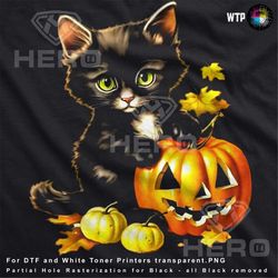 Halloween Kitten with Pumpkins Black Cat Halloween Png Adorable Halloween Kitten Halloween Cat Cute Cat DTF Download for