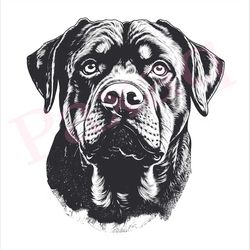 rottweiler svg, loyal rottweiler vector, rottweiler vector cutfile png pdf svg jpg for mugs, tattoos, stickers, clothes