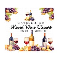 mixed wine watercolor clipart, cheese clipart, charcuterie board, wine watercolor clipart, cheese clipart, grape clipart