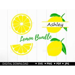 lemon svg bundle, lemon slice svg, lemon clipart, lemon monogram svg, fruit svg,  layered lemons png svg cut files for c