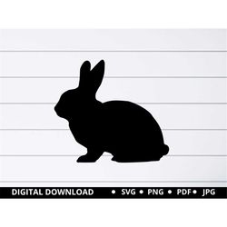 Easter Bunny svg, Bunny svg, Easter svg, Rabbit svg, Bunny Rabbit svg, Digital Download for Cricut and Silhouette SVG PN