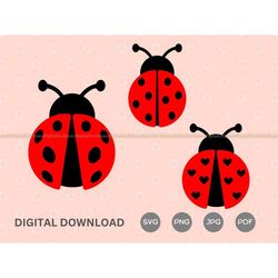 Ladybug clipart, cute ladybug png, bug clipart, love bug clipart