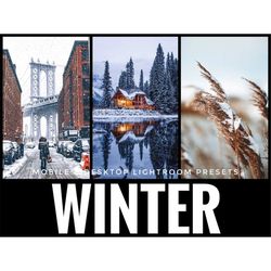 7 mobile lightroom presets, mobile presets, winter preset, instagram presets, lightroom presets, best presets, christmas